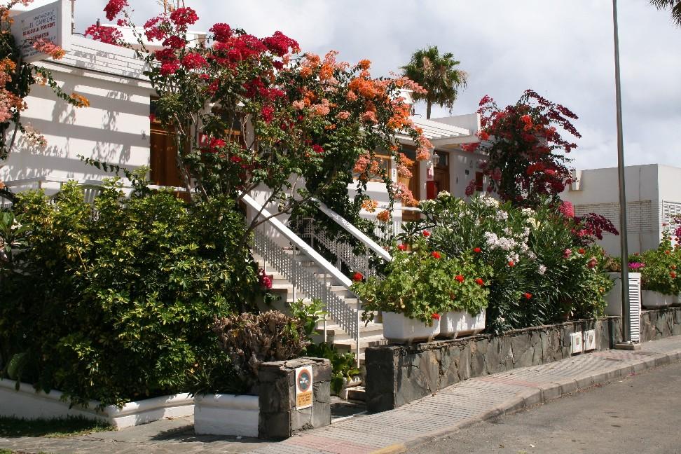 Apartamentos El Capricho Maspalomas (Gran Canaria) Exterior foto